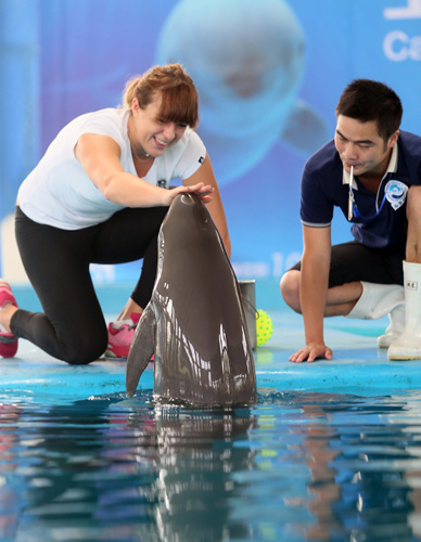 为意甲的传 为意甲的传