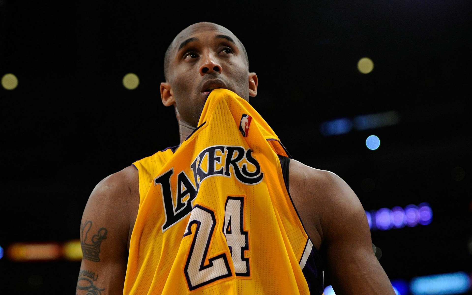 未来的启示 未来的启示