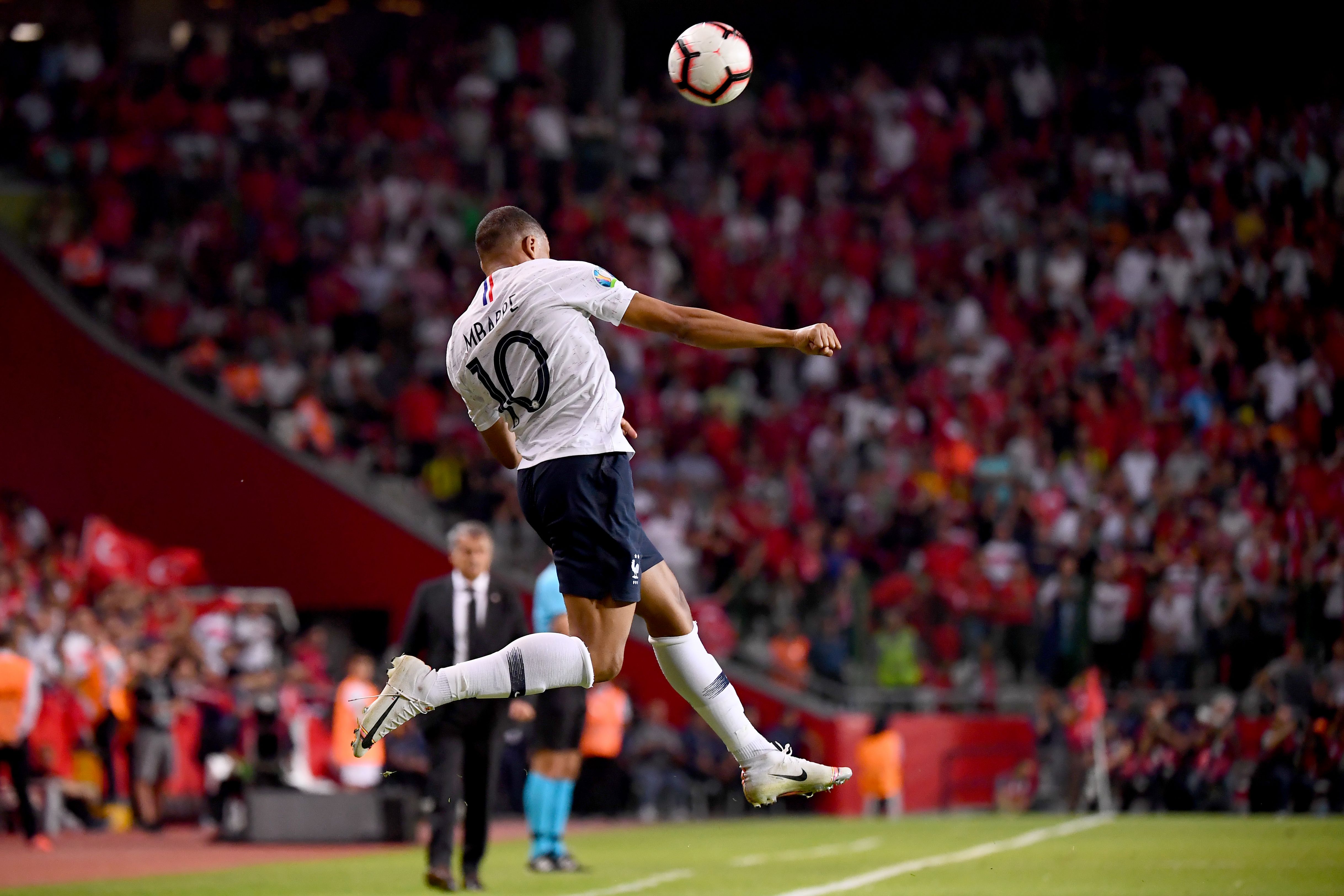 尔西带来了 尔西带来了